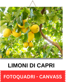 TRAMONTI DI CAPRI (130 x 160 px) (4)